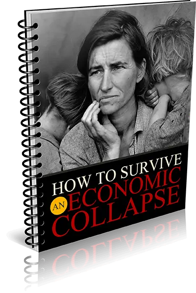 economic-collapse-guide